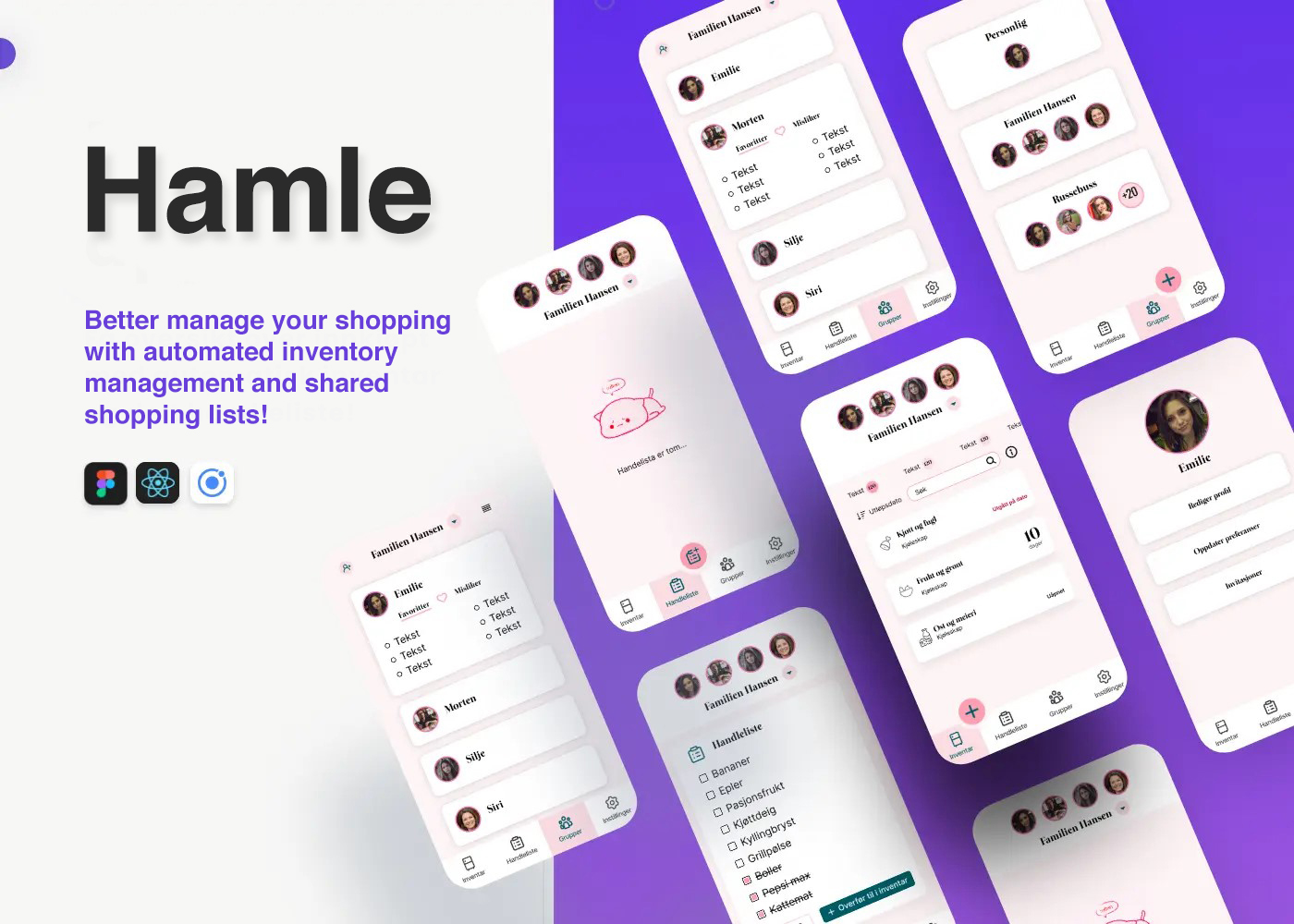 Branding screenshots of Hamle.